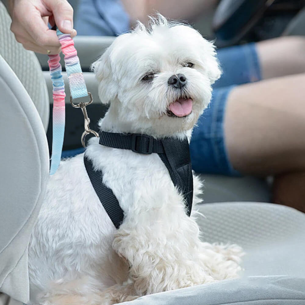 Gradient Elastic Shock-Absorbing Pet Car Safety Belt