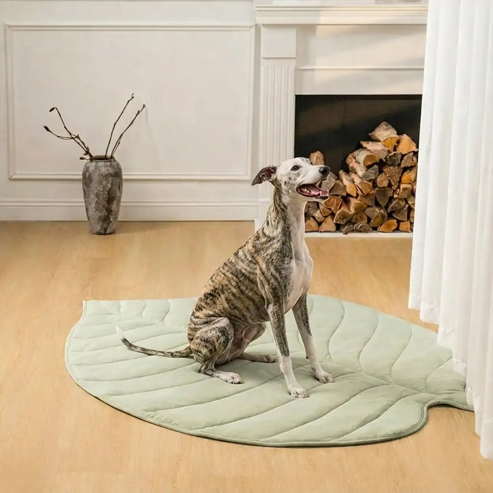Leaf Shaped Cooling Fabric Heat-Absorbing Comfortable Non-Slip Dog Mat