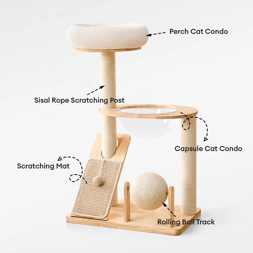 Modern Wooden Multi-Functional Play And Scratching Cat Tree with Space Capsule