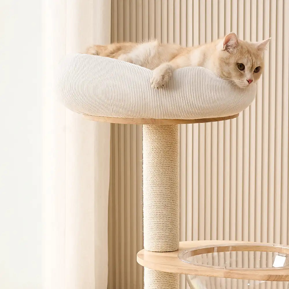 Modern Wooden Multi-Functional Play And Scratching Cat Tree with Space Capsule