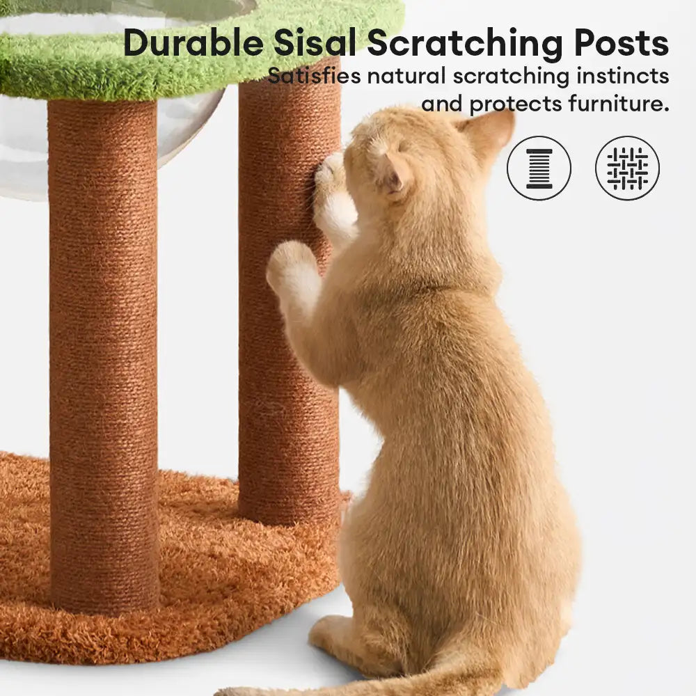 Playful Multi-Level Plush Activity Center Cat Tree with Space Capsule