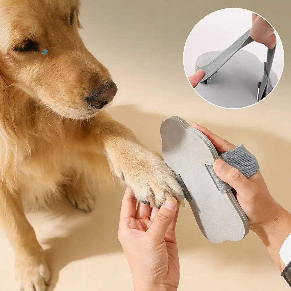Portable Dog Nail Scratch Board