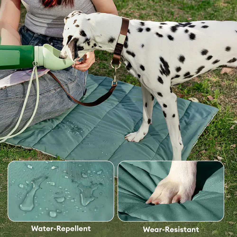 Portable Foldable Double-Sided Water-Repellent Dog Mat for Outdoor Travel & Camping