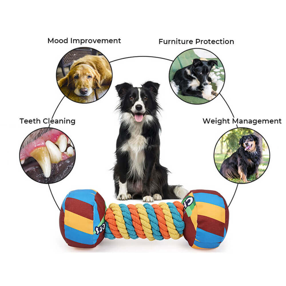 Juguete para perros de cuerda duradera interactiva interactiva interactiva