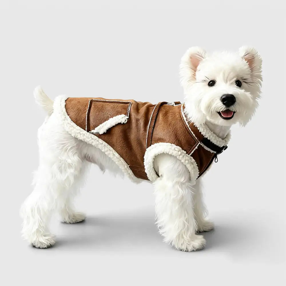 Retro Suede Dog Vest For Small Dogs
