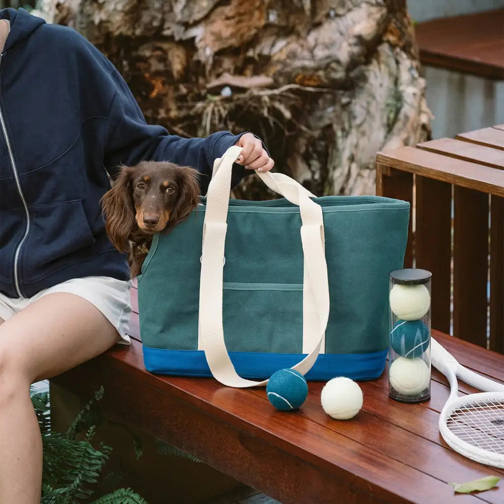 Sporty Stylish Portable Large Capacity Pet Carrier Bag For Travel and Vet