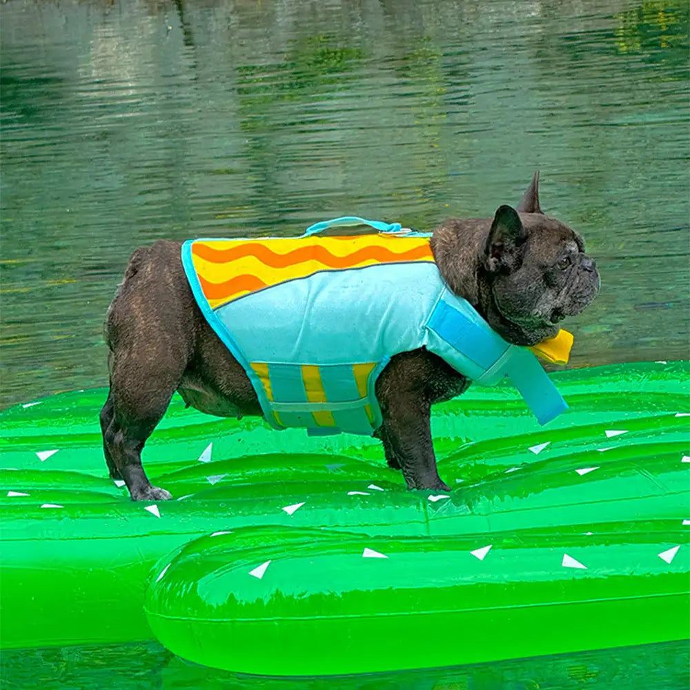 Stylish Color-Blocked Dog Life Jacket