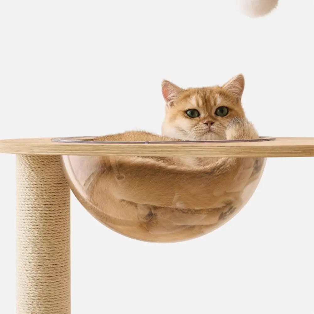 Wooden Multi-Level Climbing Frame Scratching Post Cat Tree With Hammock