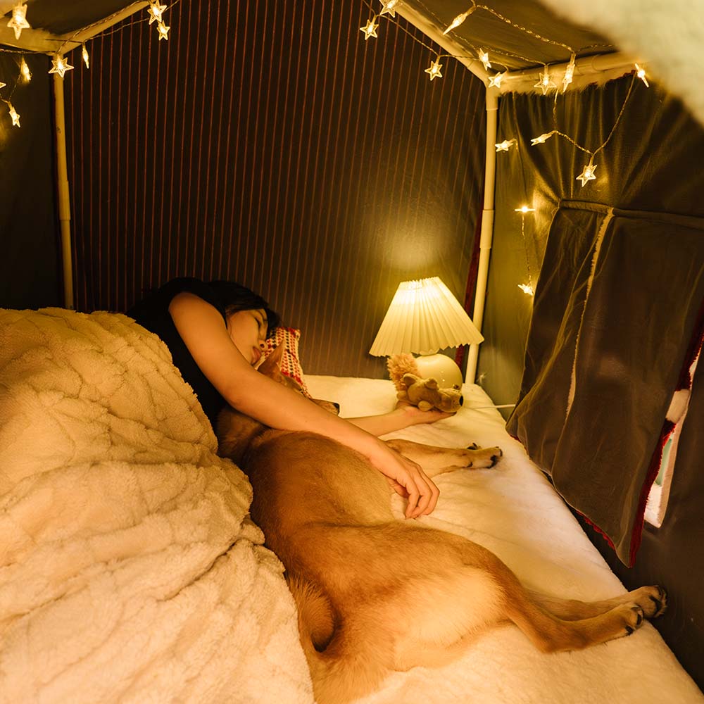 Casa de nieve navideña acogedora calidez gran casa de perros