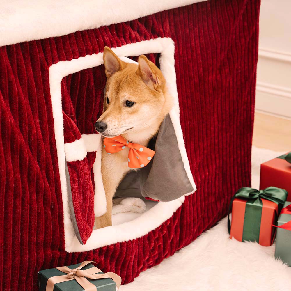 Casa de nieve navideña acogedora calidez gran casa de perros