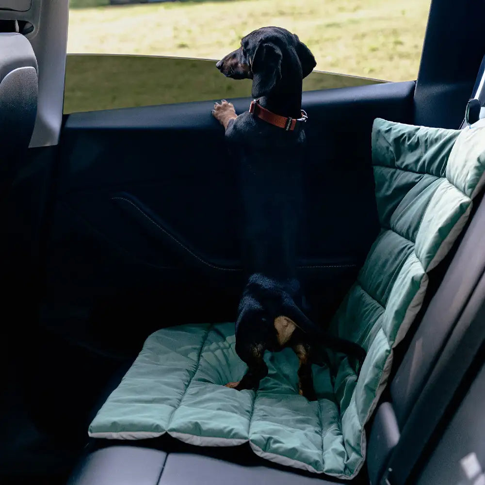 Portable Foldable Double-Sided Water-Repellent Dog Mat for Outdoor Travel & Camping