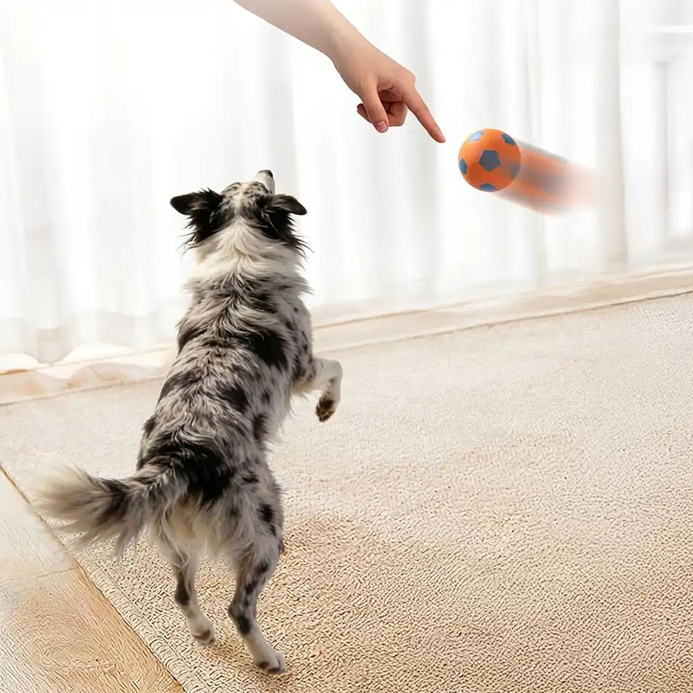Funny High Elasticity Floating Football Dog Toy