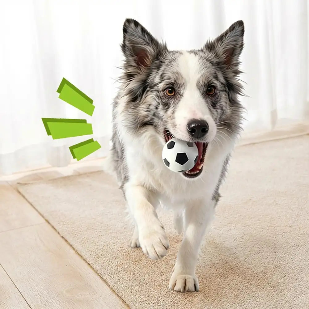 Funny High Elasticity Floating Football Dog Toy