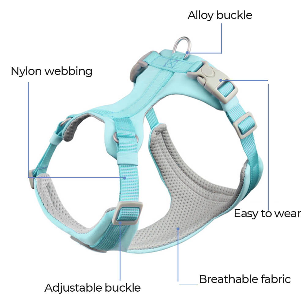 Complete Control Comfortable No-Pull Dog Harness and Leash
