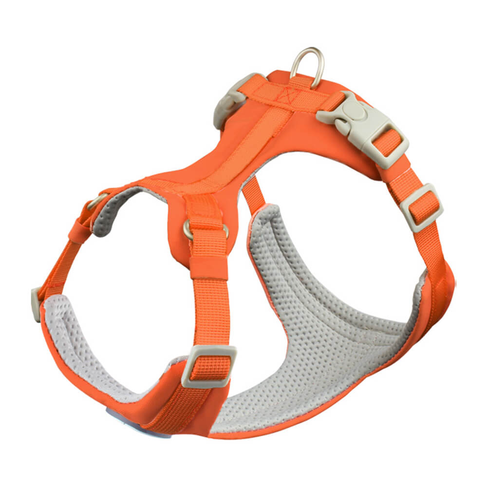 Complete Control Comfortable No-Pull Dog Harness and Leash