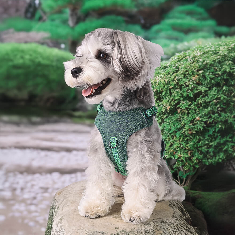 Eco friendly dog harness shops