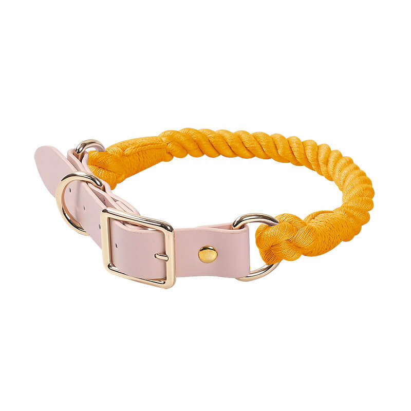 Handwoven Leather Fashion No Pull Dog Collar And Leash