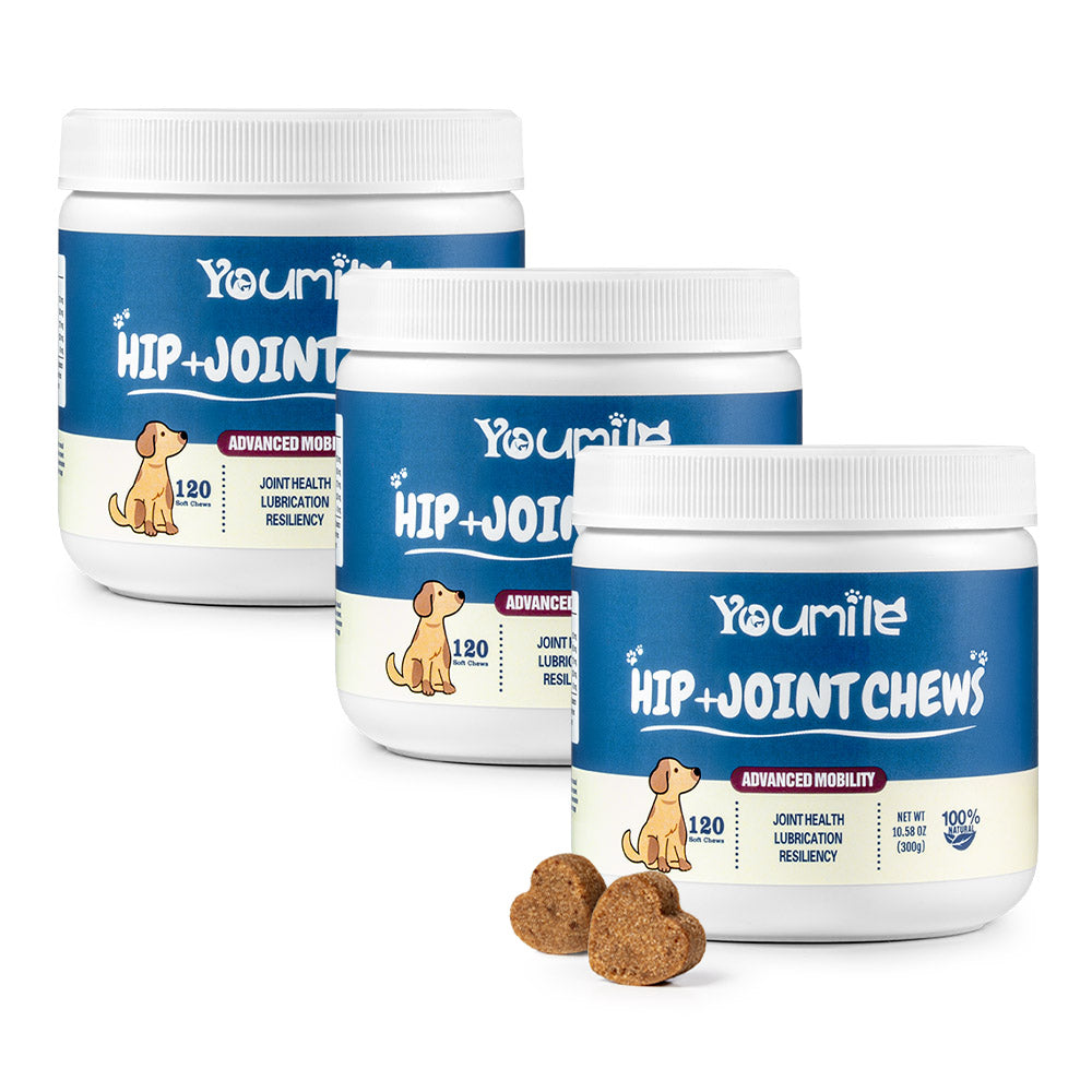 Hip & Joint Supplement Dog Chews (120 Count) | Mobility Support Supplement for Healthy Joints