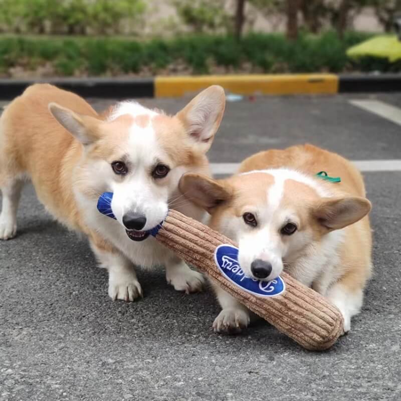 http://funnyfuzzy.com/cdn/shop/files/InteractiveToyBaseballBatToywithSqueakerDogToys_3.jpg?v=1702970718