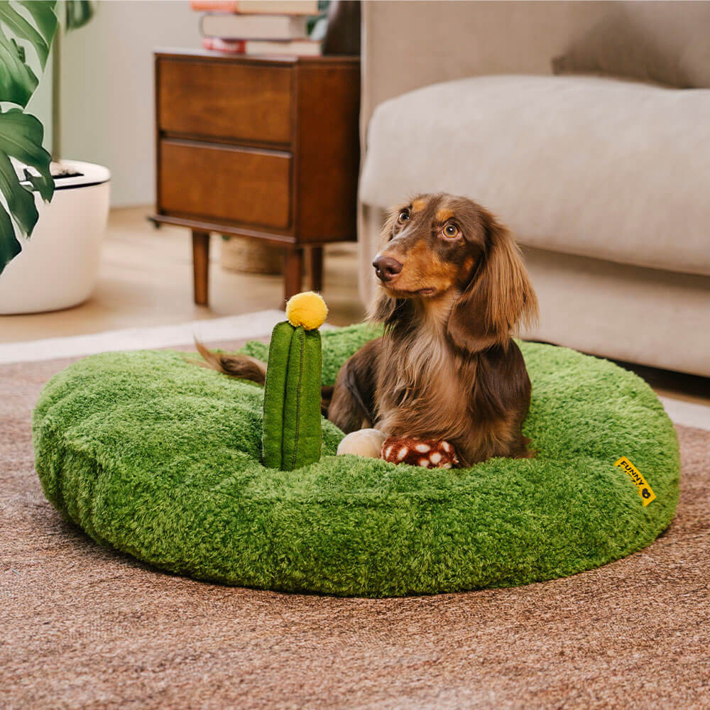 Funnyfuzzy Jungle Explorer 2 in 1 Funny Plush Pet Bed Nature Park Green Mushroom M