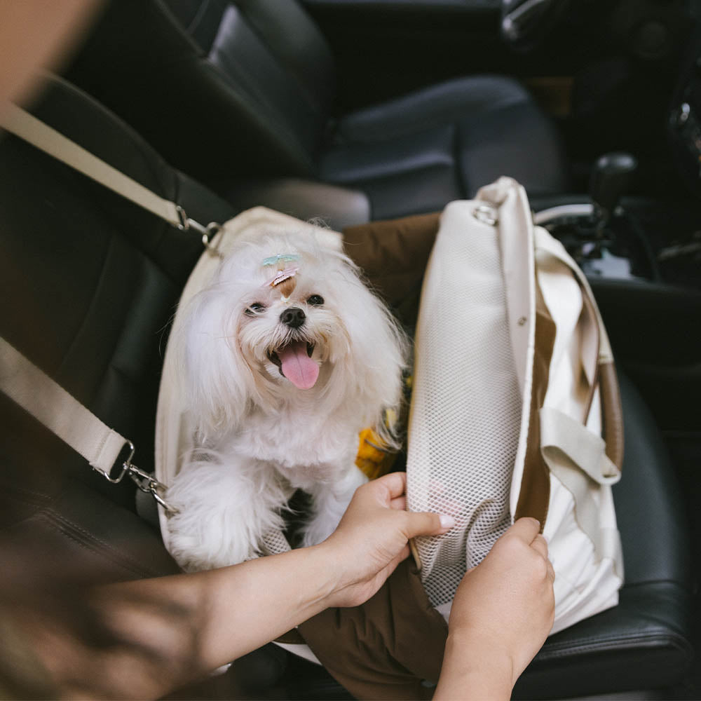 Large Convertible Water-Resistant Safety Dog Car Booster Seat & Carrier - Urban Rover