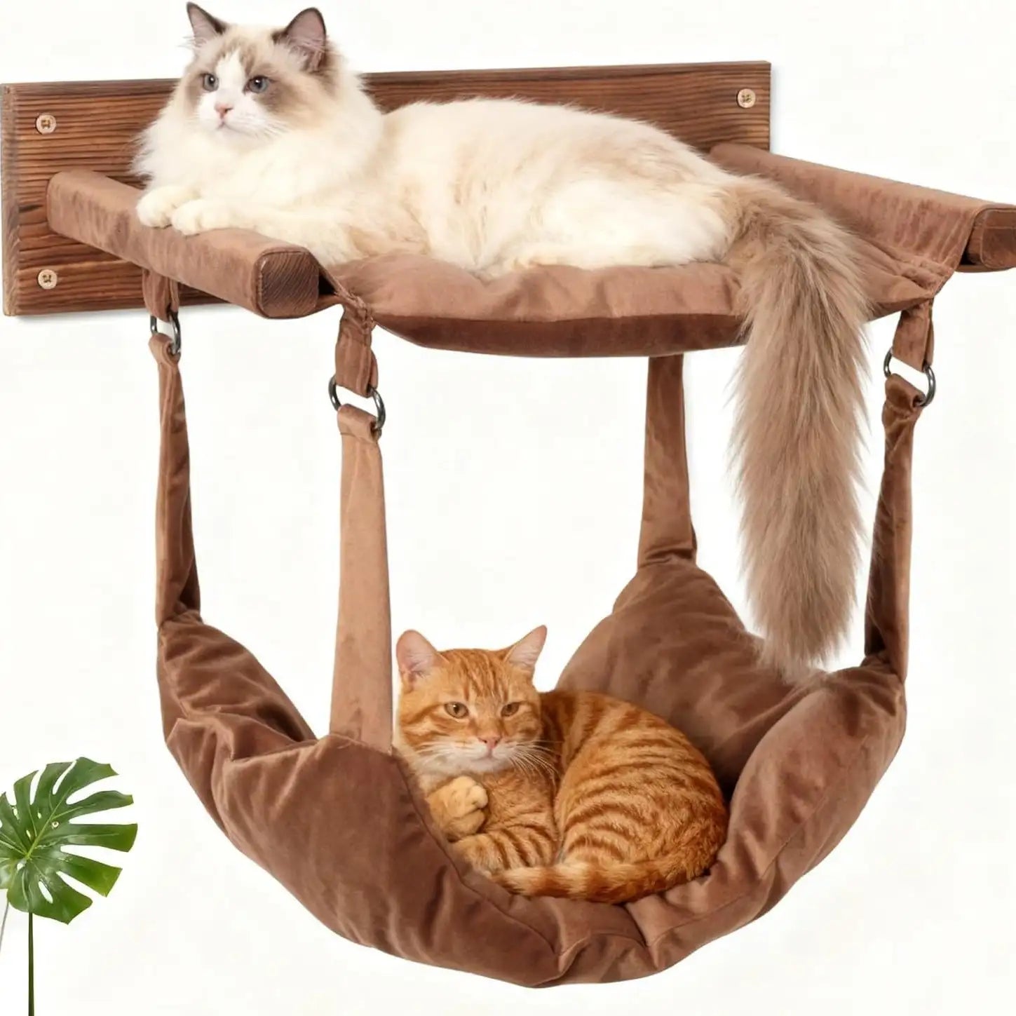 Modern Wooden Double-Layer Cat Wall Hammock for Lounging