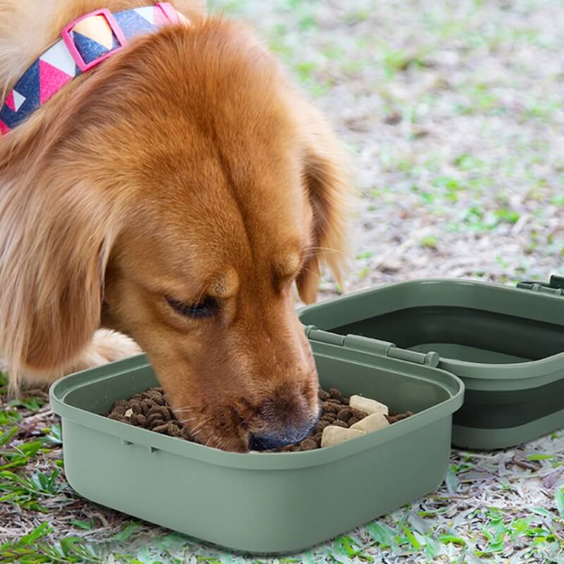 Outdoor Portable Double-layer Folding Pet Bowl