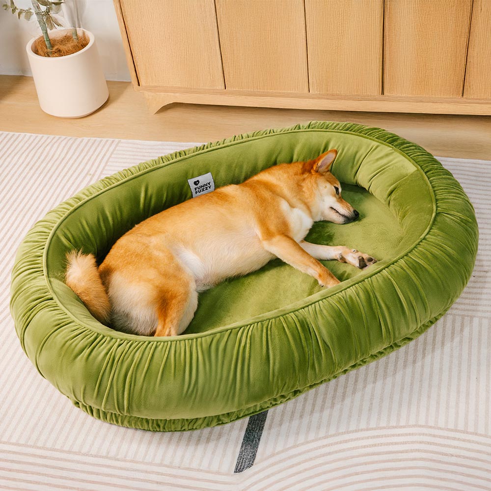 Best Oval Dog Bed Cover: Ultimate Comfort and Style Guide