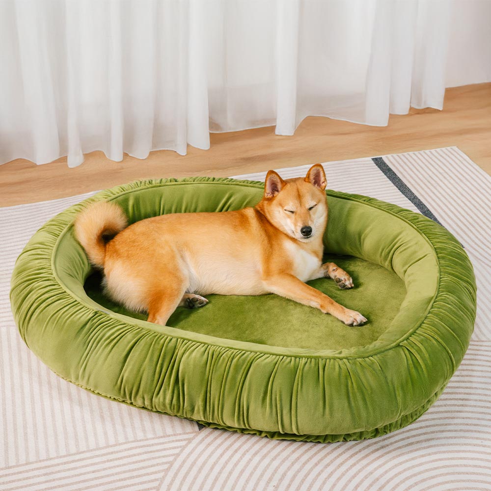 Oval Orthopedic Support Cozy Sleeping Detachable Dog & Cat Bed