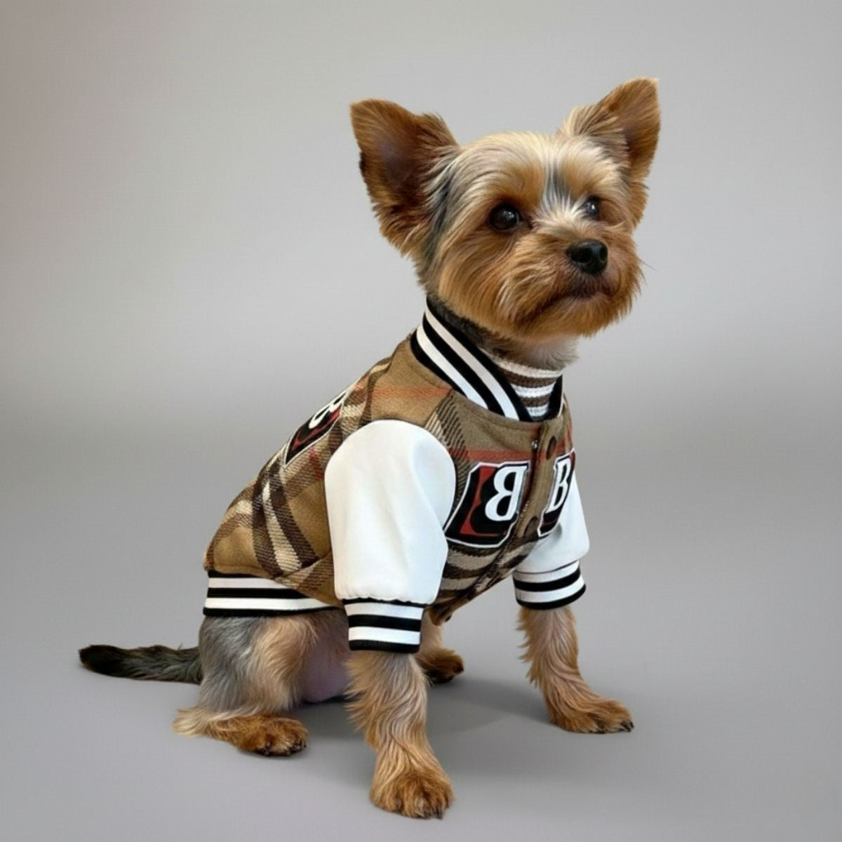 Stylish Plaid Baseball Dog Jacket | Cozy Outerwear for Trendy Pups