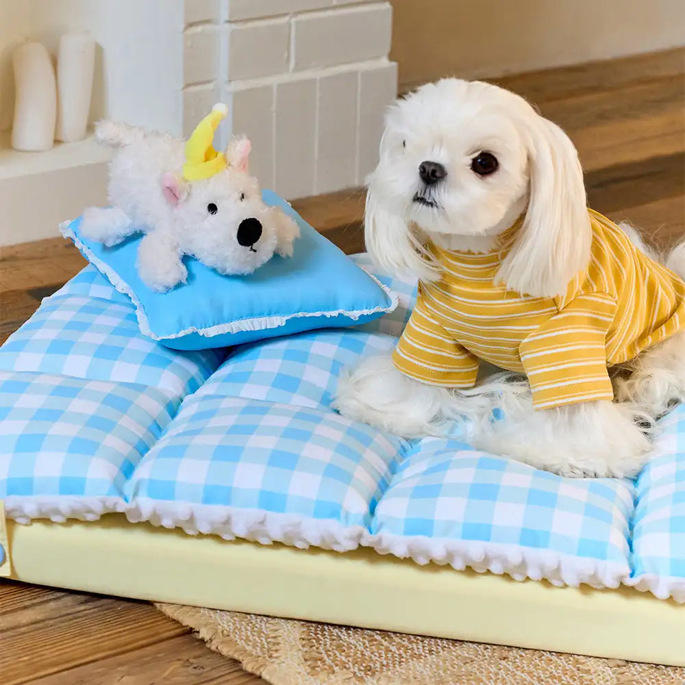 Play And Rest All-In-One Double-Layer Comfortable Washable Dog Bed - Pet Exclusive