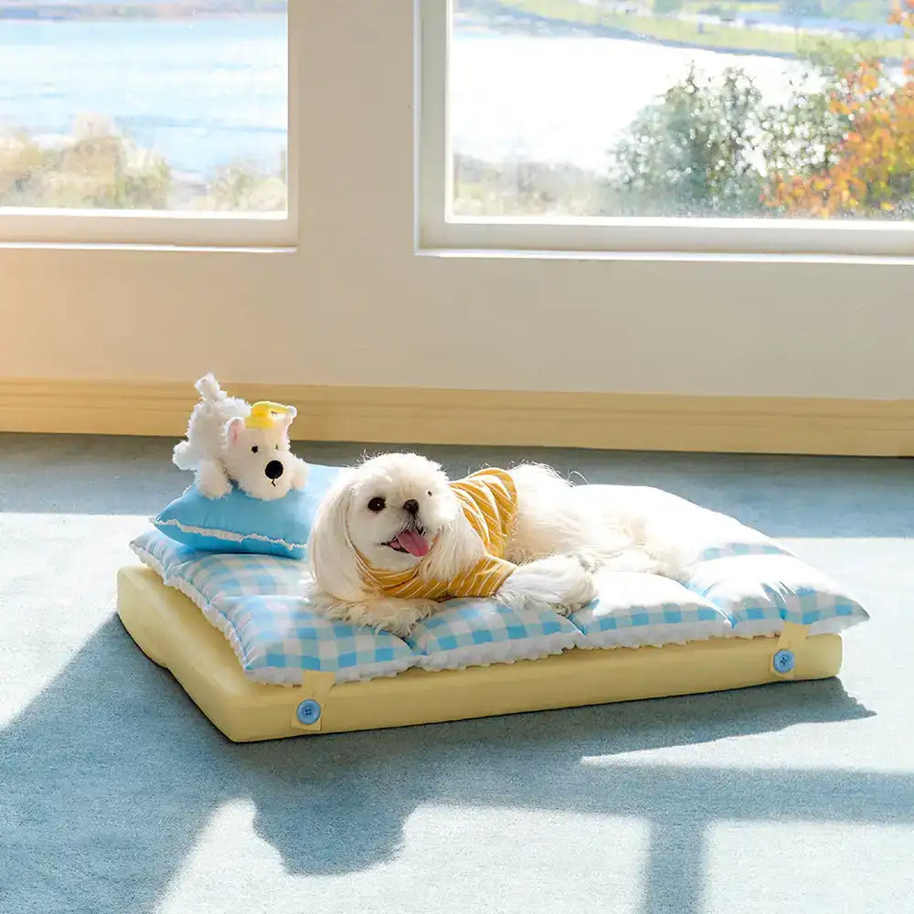 Play And Rest All-In-One Double-Layer Comfortable Washable Dog Bed - Pet Exclusive