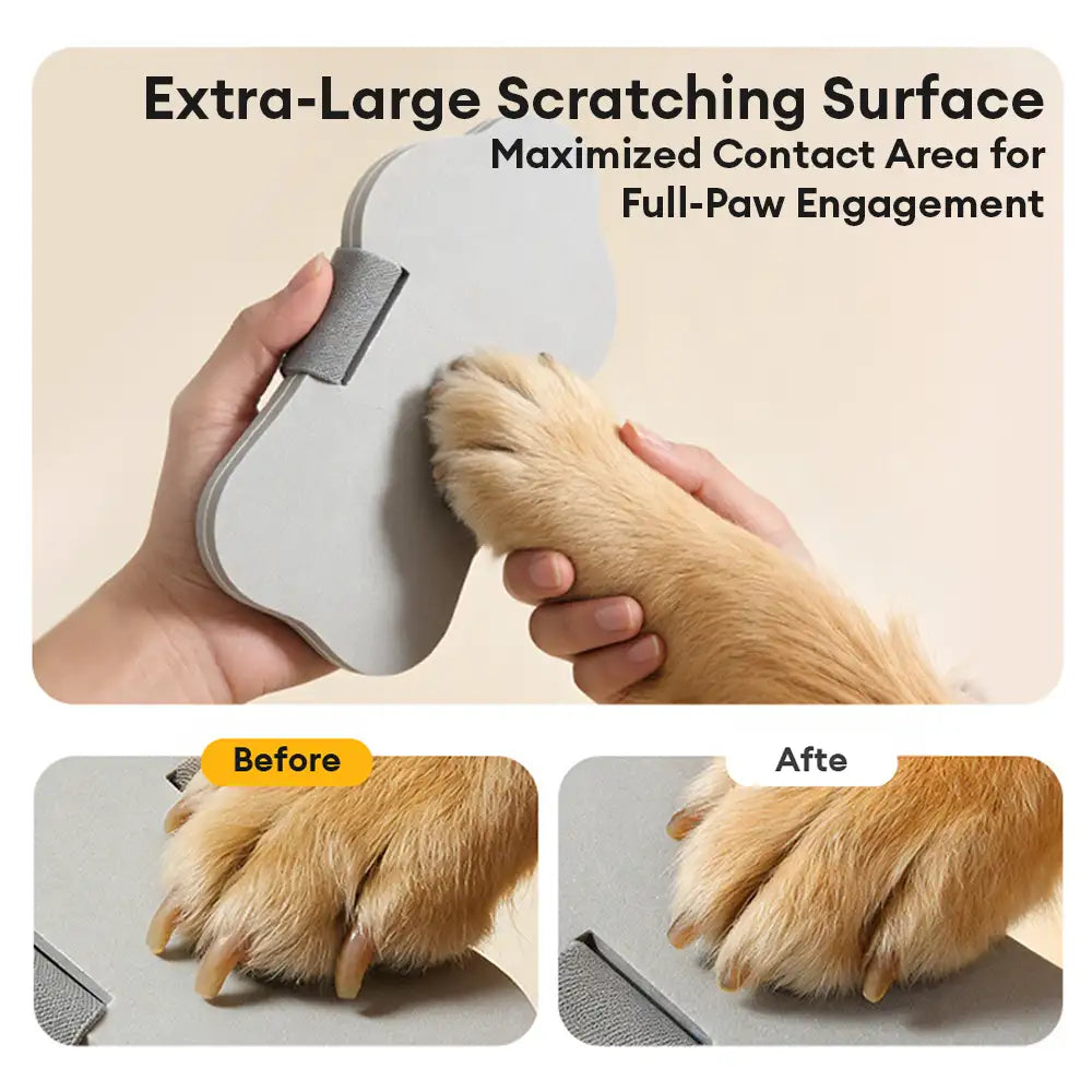 Portable Dog Nail Scratch Board