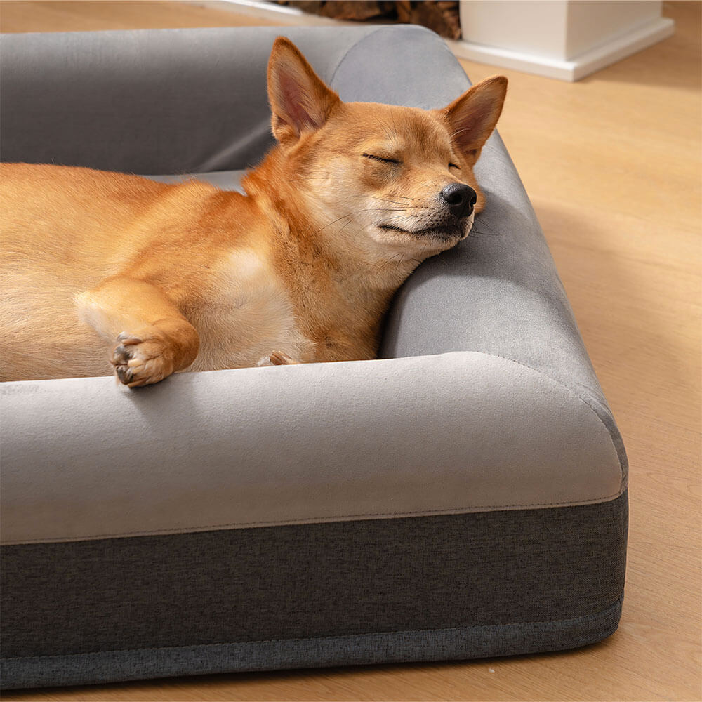 Premium Orthopedic Dog Bed Blissful Sleep With Joyful Play Digging Bed