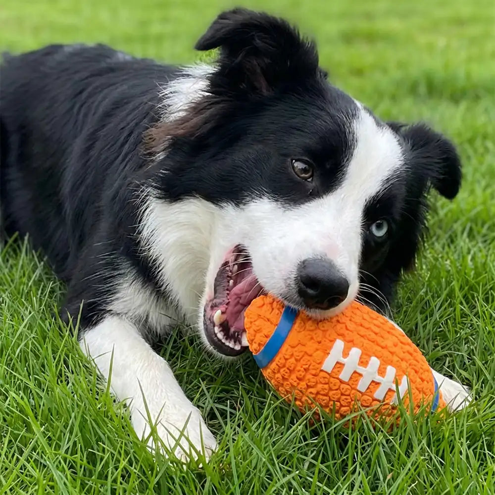 Rugby Dog Chew Toy with Squeaky