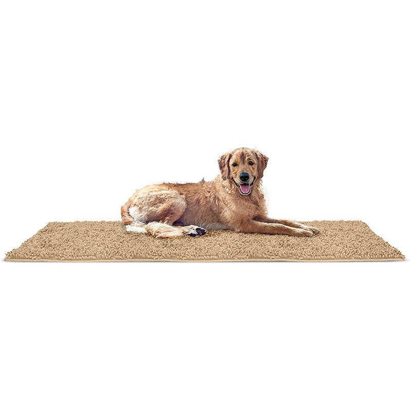 Ultra-Absorbent Non-Slip Chenille Front Door Mat for Muddy Dog Paws