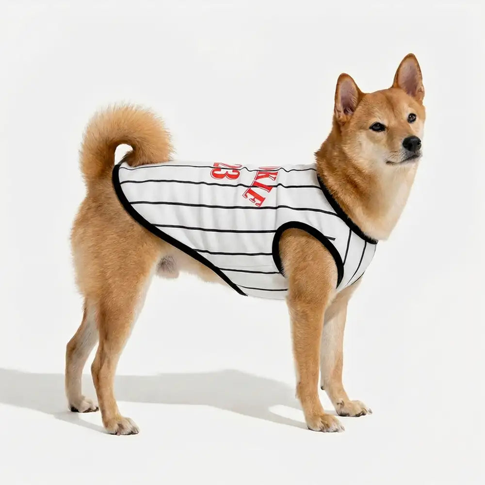 Sporty Style Breathable Dog Vest for Puppy