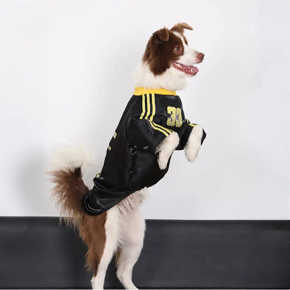 Striped Retro Reflective Dog T-Shirt for All Breeds