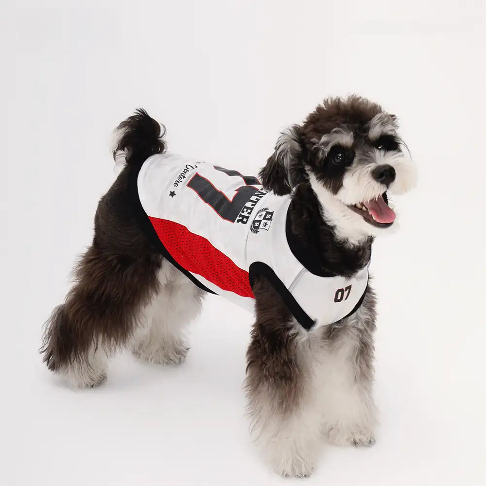 Stylish Color-Blocked Breathable Dog Vest