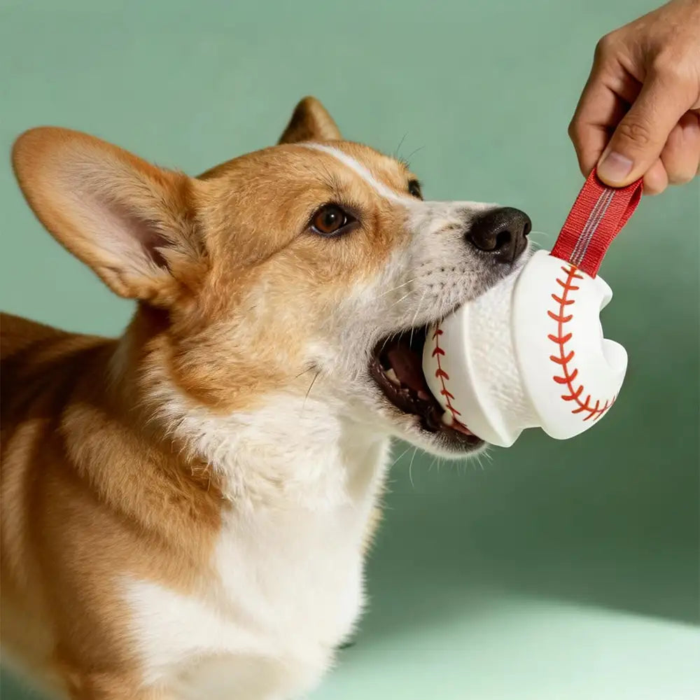 Teething & Play Elastic Interactive Dog Chew Toy