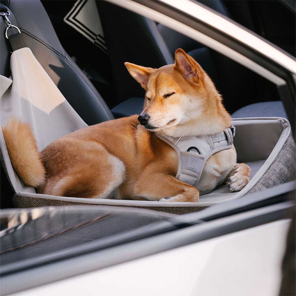 Reisesicherheitssitz, verdicktes, erhöhtes Hundeautositzbett