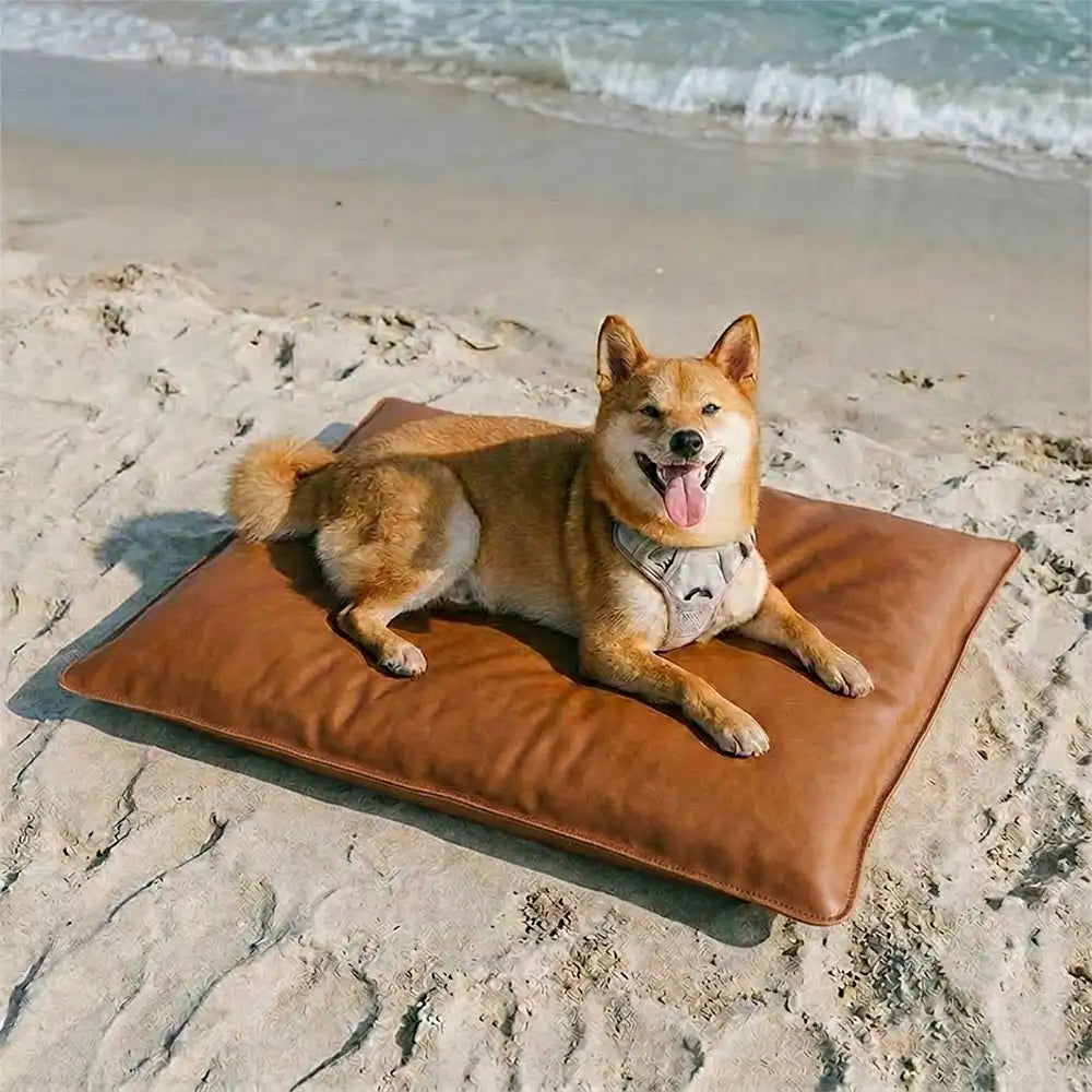 Water-Repellent Scratch-Resistant Double-Sided Washable Dog Mat