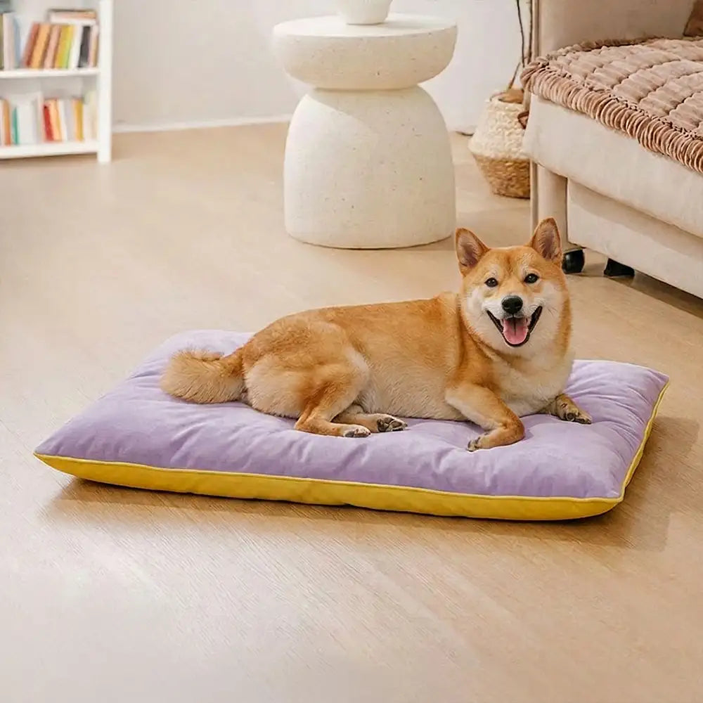 Water-Repellent Scratch-Resistant Double-Sided Washable Dog Mat