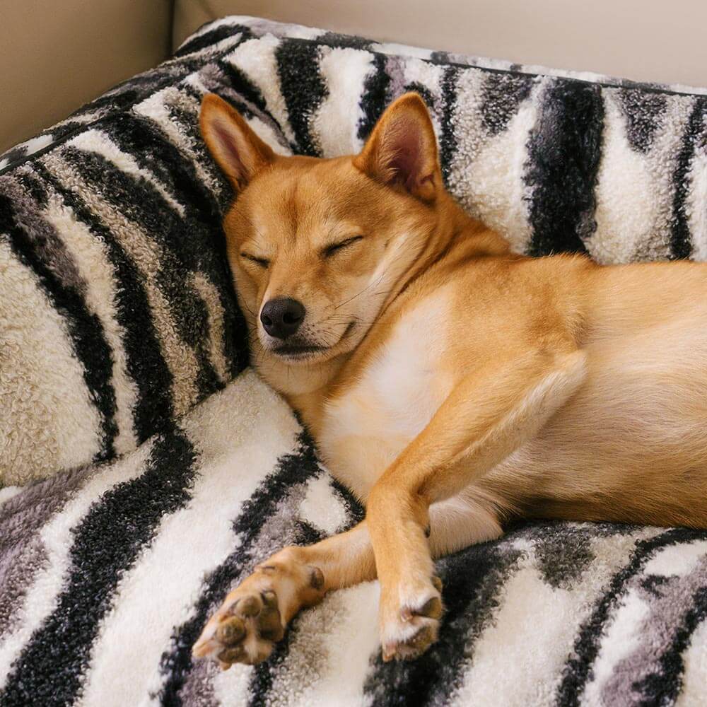 Matín de perro de sofá sofá de lujo nórdico - Pawlune