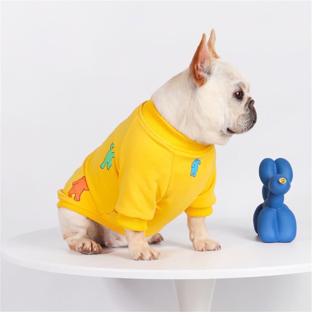 Vêtements mignons pour chiens de petites et moyennes races, prêts pour le printemps