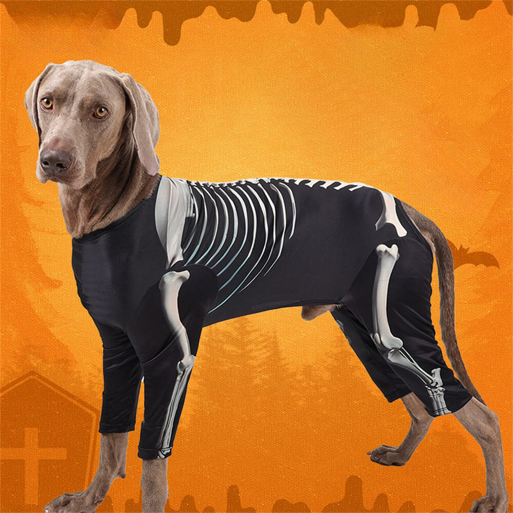 Costume d'Halloween squelette élastique pour gros chiens