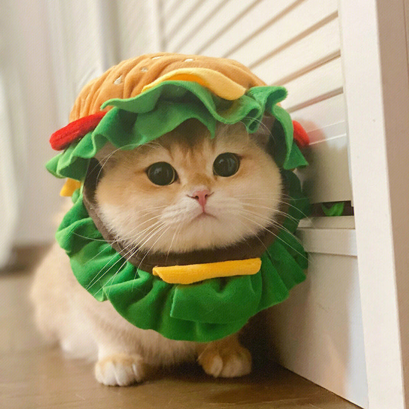 Burger-Kopfbedeckung, Haustiermütze, lustige Kopfbedeckung für Hund und  Katze – FunnyFuzzy