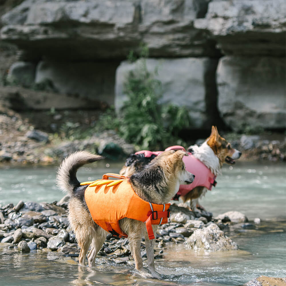 Crab Float Coat Dog Life Vest