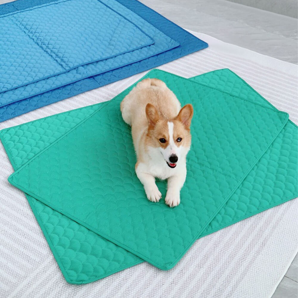Double-sided Waterproof Pet Cooling Mat