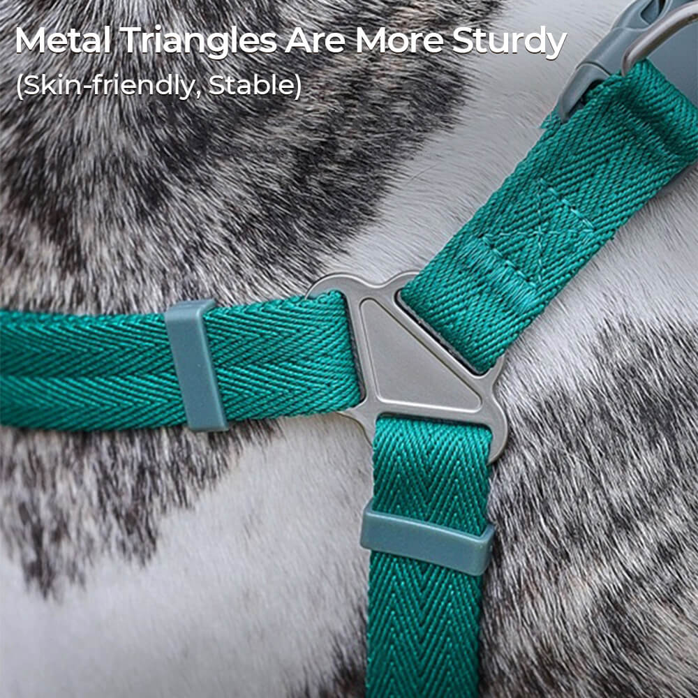 Juego de caminata de arneses para perros sin pulir sin pulir fácil de usar